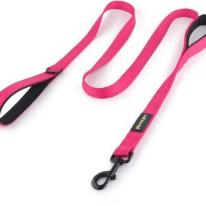 Plutus Pet Double Handle Dog Leash, 6 FT Long, for Medium Large Dogs