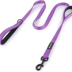 Plutus Pet Double Handle Dog Leash, 6 FT Long, for Medium Large Dogs