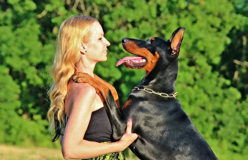 18 Dog Breeds You’d Never Expect To Be This Clingy