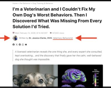 Did Wagnific Create Its Own Veterinary Behaviorist? Did Wagnific Create Its Own Veterinary Behaviorist?