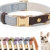 LIONET PAWS PU Leather Dog Collar for Small Medium Large Dogs-Light Blue S