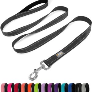 6 FT Basic Dog Leash for Medium Dogs,Black