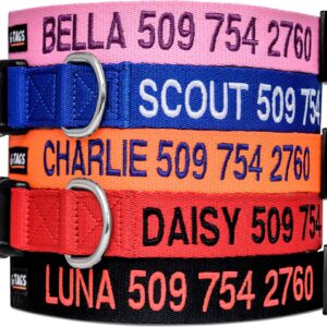GoTags Personalized Dog Collar, Custom Embroidered with Pet Name and Number