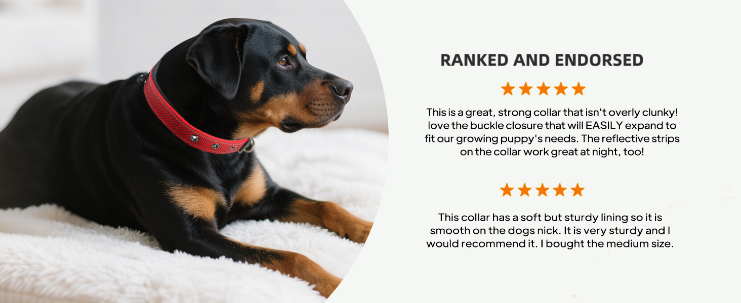 dog collars for medium dogs