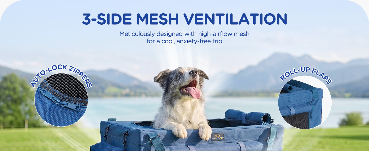 pop up dog crate