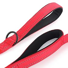 dog leash for medium dogs