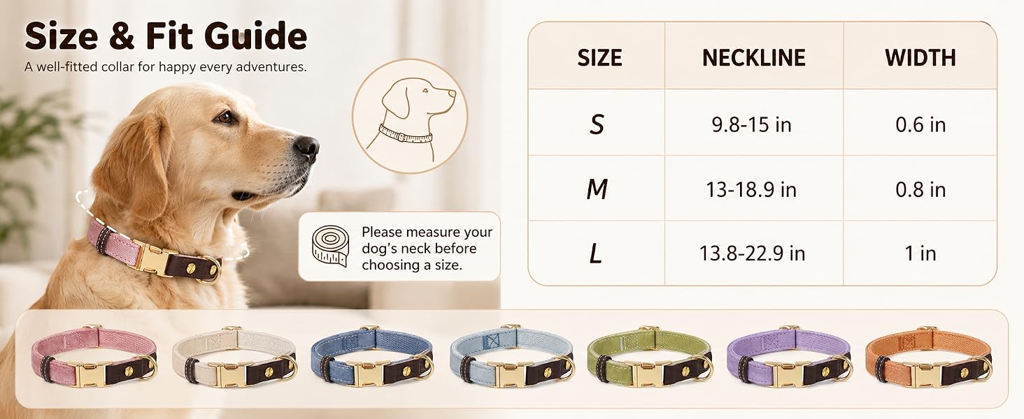 leather collars for large dogs