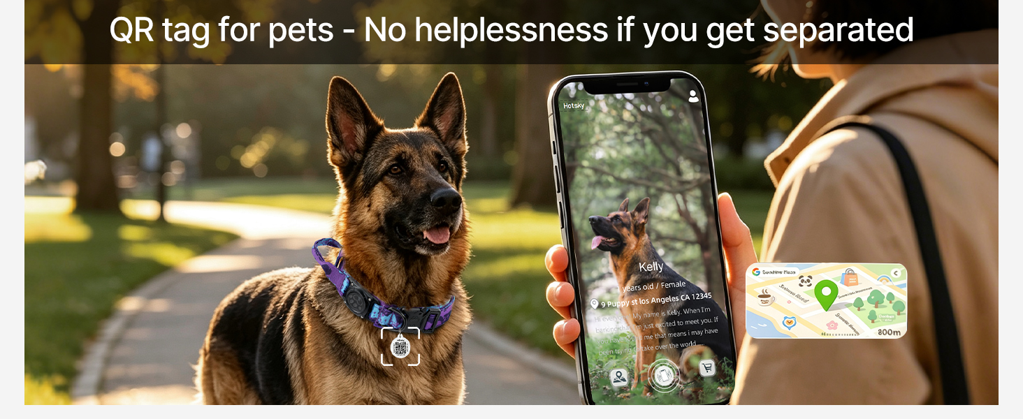 dog collar with handle