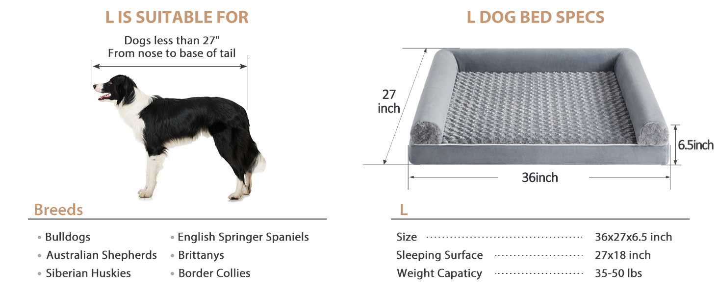large dog bed