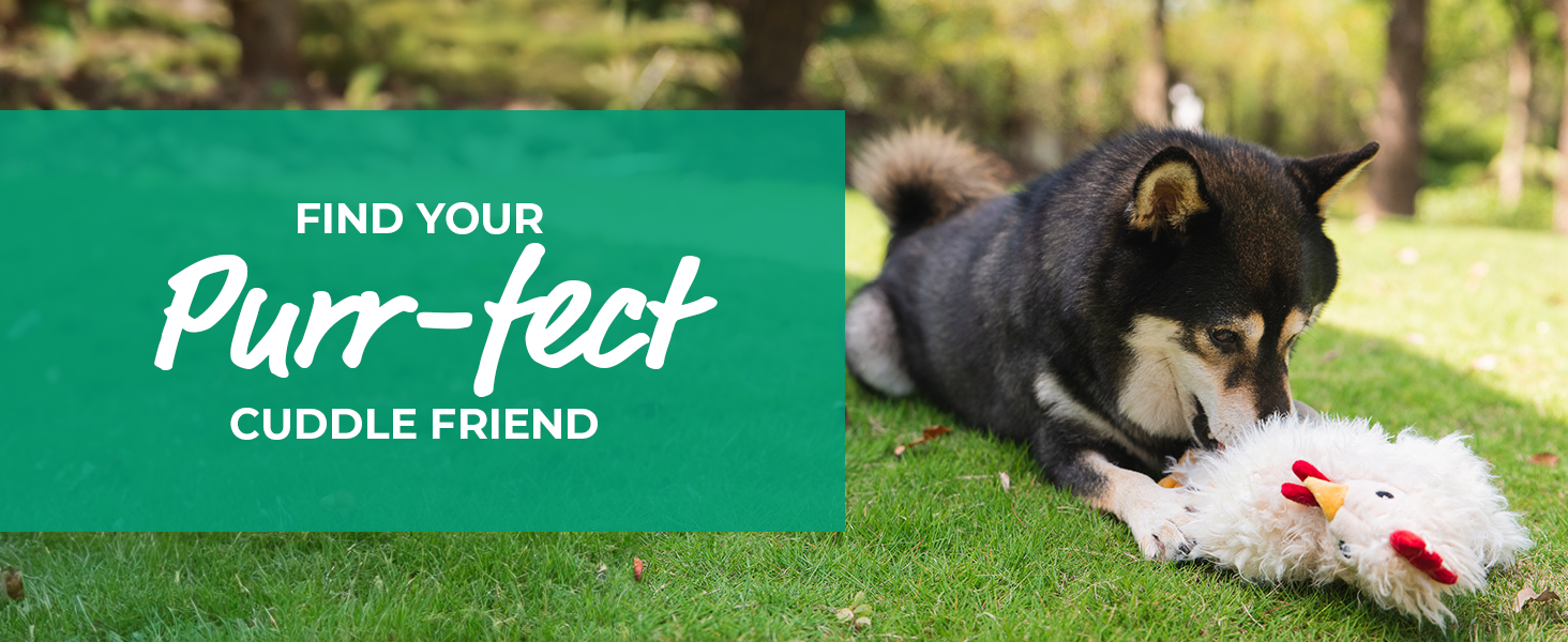 soft toys for pets