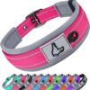 Joytale Reflective Dog Collar for Small Dogs with Wide Padding, Hotpink