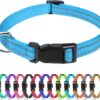 TagME Small Dog Collar, Reflective Puppy Collar, Sky Blue, 3/8″ Width