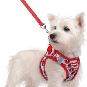 rabbitgoo Dog Harness Small Sized and Leash Set, Step-in Puppy Pet Vest