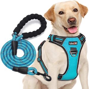 tobeDRI No Pull Dog Harness Adjustable Reflective Oxford Easy Control Medium Large Dog Harness with A Free Heavy Duty 5ft Dog Leash, Blue, L
