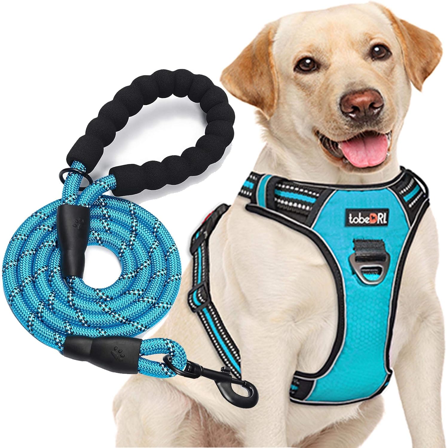 tobeDRI No Pull Dog Harness Adjustable Reflective Oxford Easy Control Medium Large Dog Harness with A Free Heavy Duty 5ft Dog Leash, Blue, L tobeDRI No Pull Dog Harness Adjustable Reflective Oxford Easy Control Medium Large Dog Harness with A Free Heavy Duty 5ft Dog Leash, Blue, L