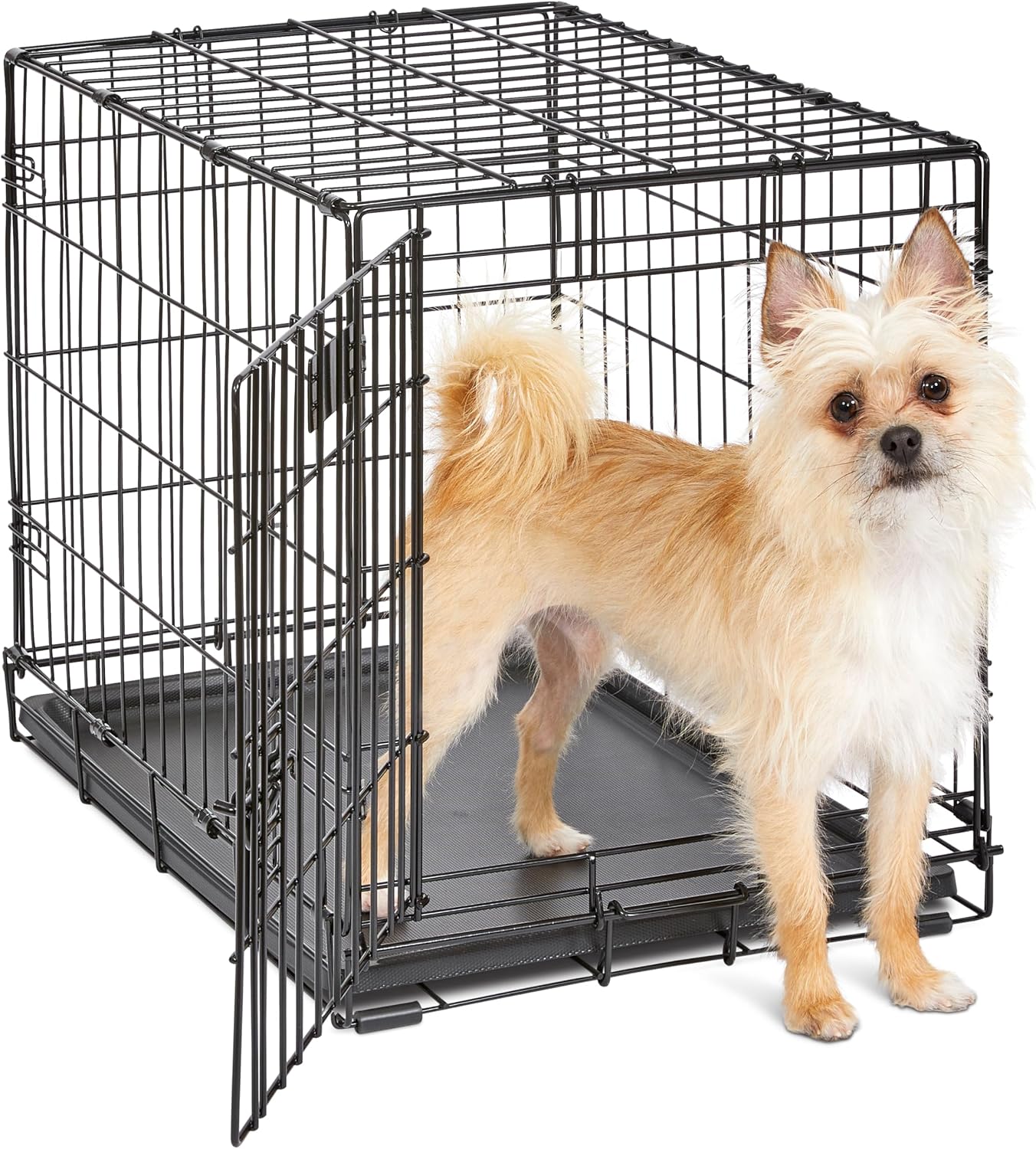 Midwest 24-Inch Single Door iCrate, for Small Breeds, 12-20 lbs Midwest 24-Inch Single Door iCrate, for Small Breeds, 12-20 lbs
