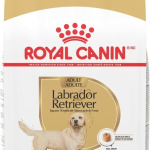 ROYAL CANIN Labrador Retriever Adult Dry Dog Food, 30 lb Bag