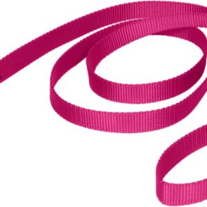 PetSafe Nylon Dog Leash – Strong, Durable, Traditional Style Leash with Easy to Use Bolt Snap – 3/4 in. x 6 ft., Raspberry Pink