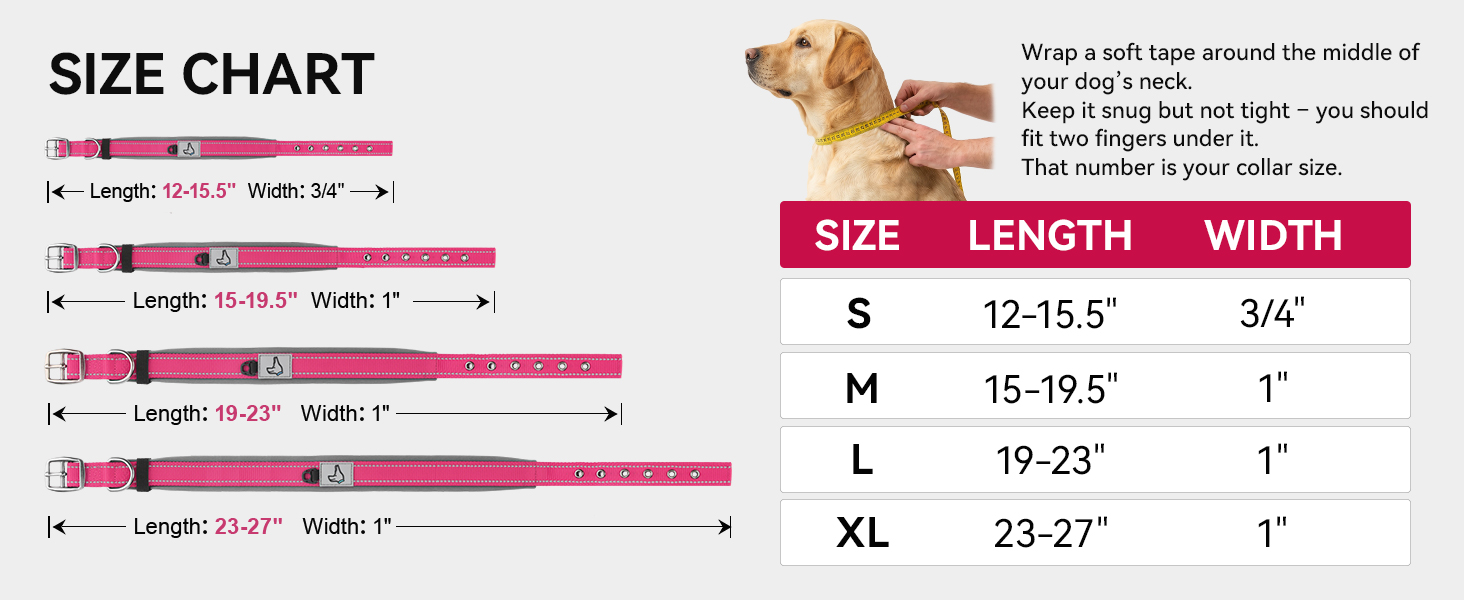 dog collar