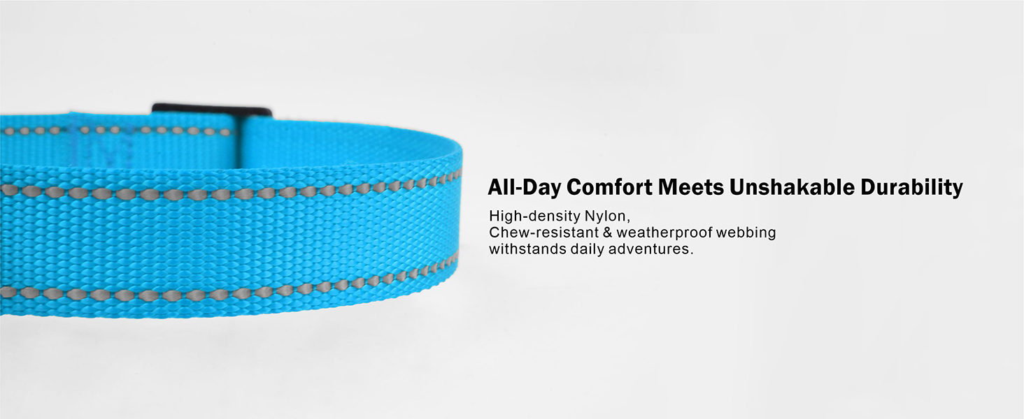 nylon dog collar