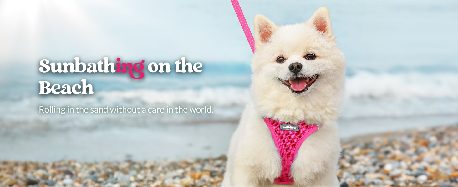 Playing outdoors by the sea with quick-dry vest